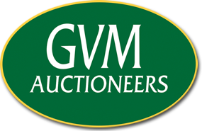 GVM
